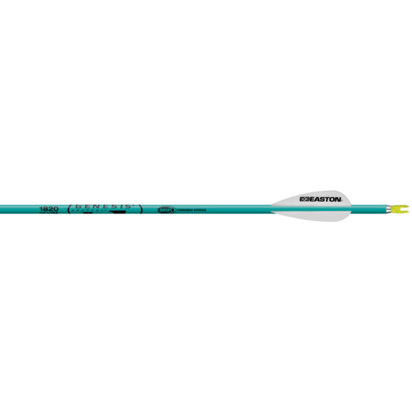 1002064_1 Easton Genesis Arrows Teal 1820 6 pk.