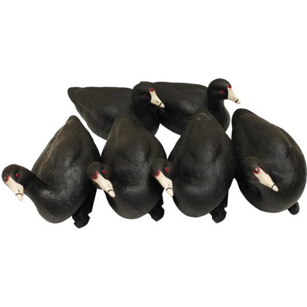 1003659_1 MOJO Coot Confidence Decoys 6 pk.