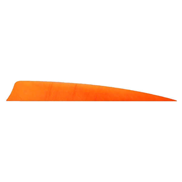 1005958_1 Trueflight Shield Cut Feathers Orange 4 in. RW 100 pk.