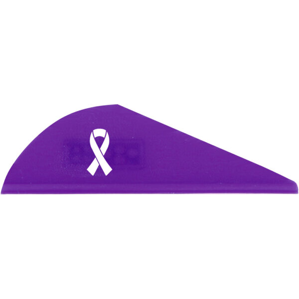 1006119_1 Bohning Blazer Vanes Awareness Purple 36 pk.
