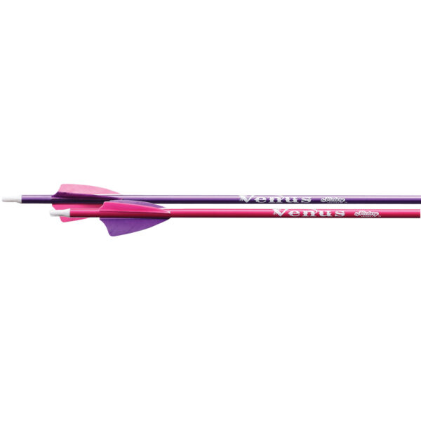 1006248_1 Victory Venus Youth Arrows Pink/Purple 72 pk.