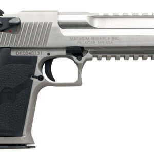 Magnum Research Desert Eagle Mark XIX 429DE 6 in Stainless