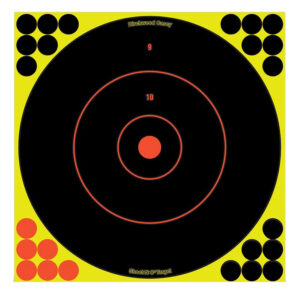 Birchwood Casey Shoot-N-C 12-Inch Bullseye Targets, 100 Pack