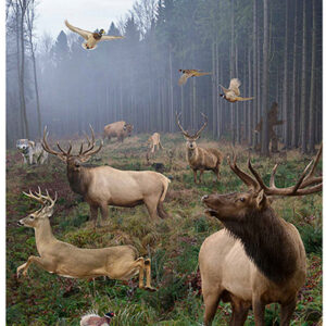 Action Target GSBIGHUNT100 Animals Paper Targets 23×35 100/Box