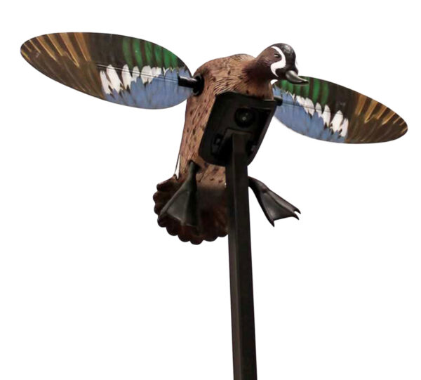 Mojo Elite Series Blue Wing Teal Spinning-Wing Decoy