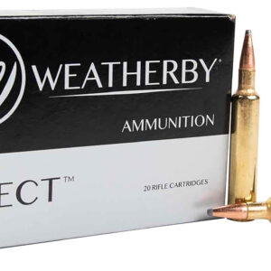 Weatherby .30-378 Weatherby Magnum 180 gr Hornady Interlock