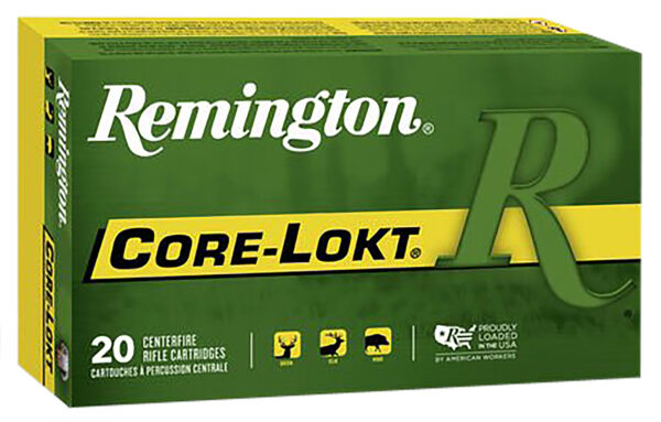 Remington Core-Lokt .450 Bushmaster PSP 20rd Box