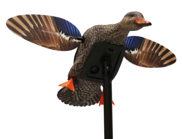 Mojo Elite Series Mini Mallard Hen Decoy – Motion (AA)