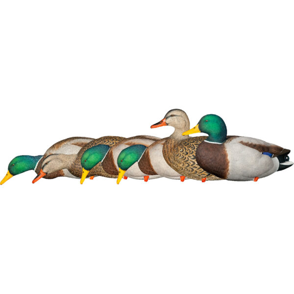 1208518_1 Avian X AXP Fusion Duck Decoys Mallards 6 pk.