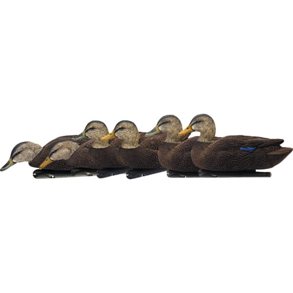 1208519_1 Avian X Top Flight Duck Decoys Flocked Black Duck 6 pk.