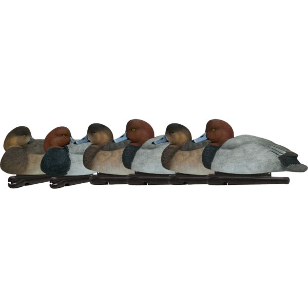 1208522_1 AvianX Top Flight Duck Decoys Redheads 6 pk.