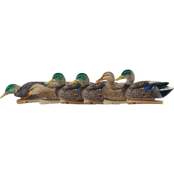 1208524_1 Avian X Top Flight Duck Decoys Early Season Mallards 6 pk.