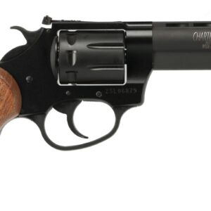 Charter Arms Pathfinder II .22 LR 3.5 in Revolver
