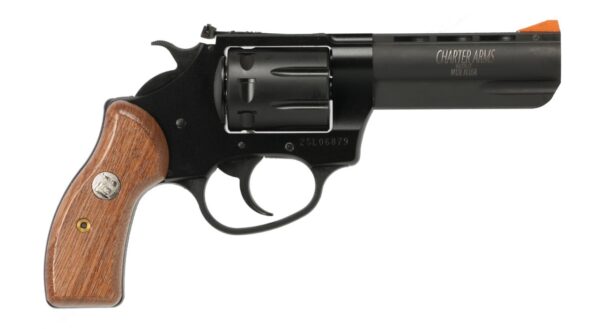 12235ac69 Charter Arms Pathfinder II .22 LR 3.5 in Revolver