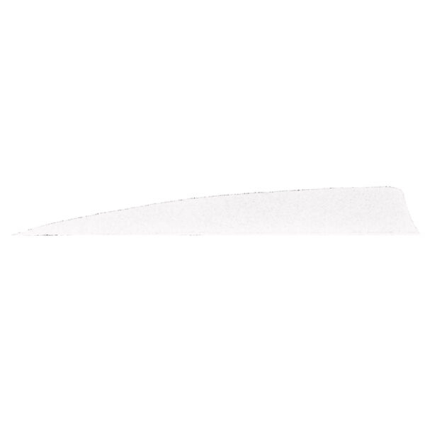 12489_1 Gateway Shield Cut Feathers White 5 in. LW 50 pk.
