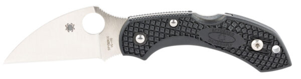Spyderco Dragonfly 2 C28FPWCBK2 — 2.28″ Wharncliffe
