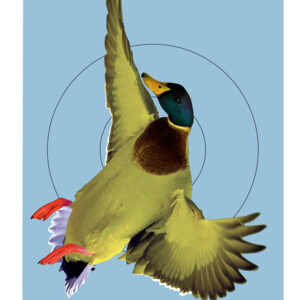 Birchwood Casey Pregame Duck 12×18 Targets, 8-Pack