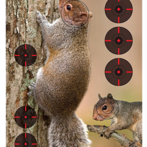 Birchwood Casey Pregame Squirrel Targets 12 x 18 8-Pack