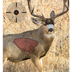 Birchwood Casey PREGAME Mule Deer Target 16.5×24 3-Pack