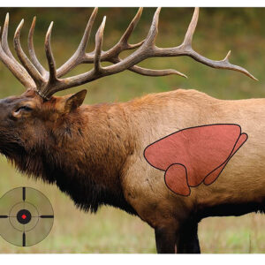 Birchwood Casey Pregame Elk Target 16.5 x 24 – 3 Pack