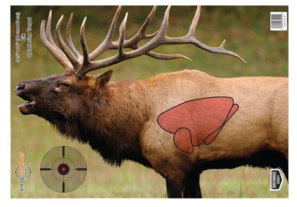 Birchwood Casey Pregame Elk Target 16.5 x 24 – 3 Pack