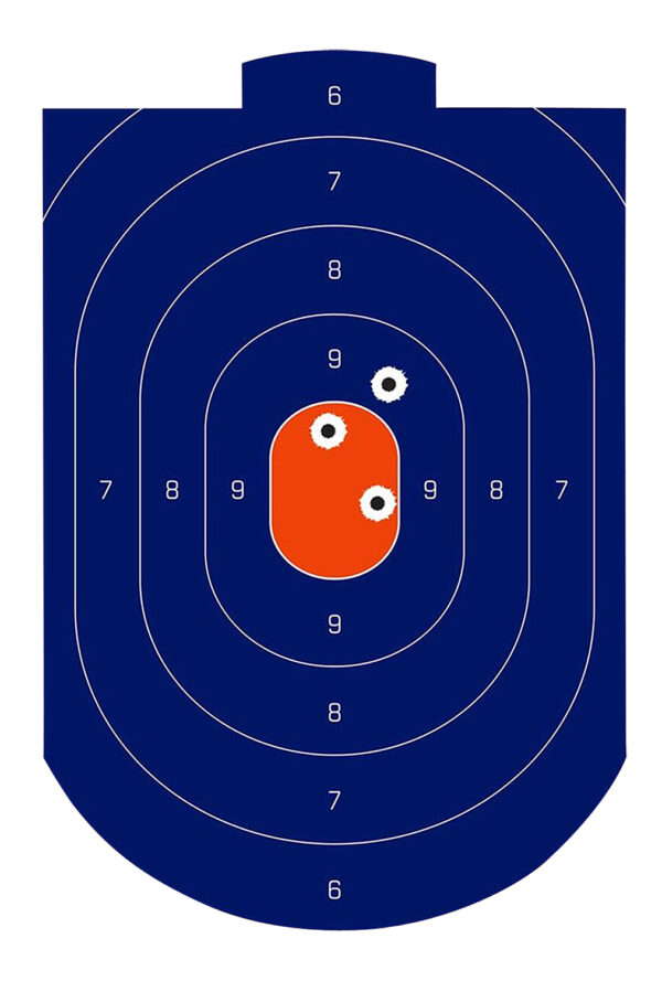 136599 Birchwood Casey Dirty Bird Silhouette Target 12″ x 18″ (100)