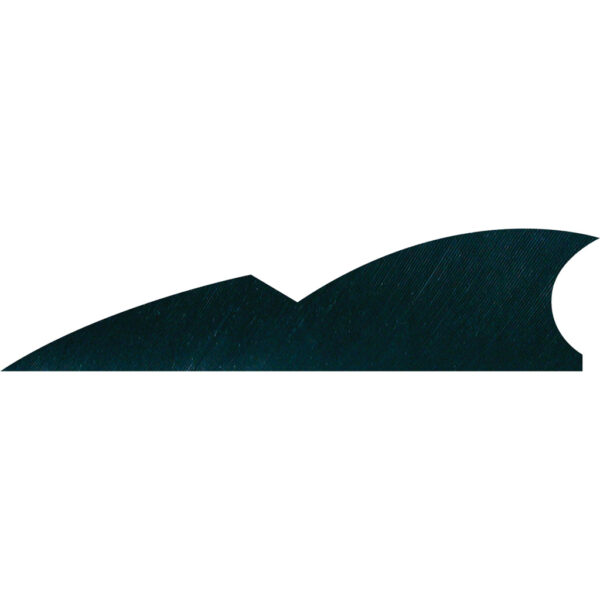 1406905_1 Gateway Batwing Feathers Black 2 in. RW 50 pk.