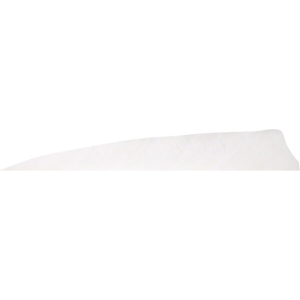 Gateway Shield Cut Feathers Flo White 4 in. LW 50 pk.