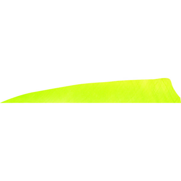1406994_1 Gateway Shield Cut Feathers Lemon Lime 4 in. LW 50 pk.