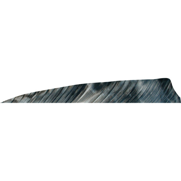 1407000_1 Gateway Shield Cut Feathers Tre Bark 4 in. LW 50 pk.
