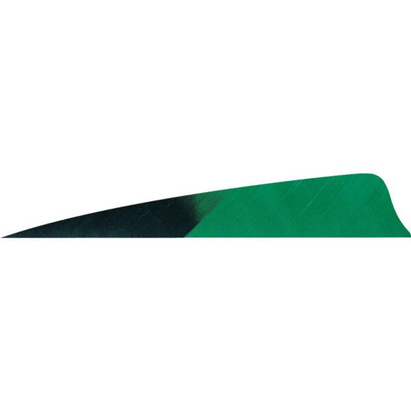 1407083_1 Gateway Shield Cut Feathers Kuru Green 4 in. RW 50 pk.