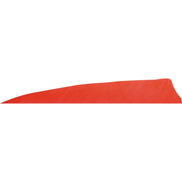 1407091_1 Gateway Shield Cut Feathers Red 4 in. RW 50 pk.