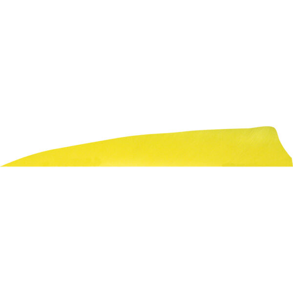 1407093_1 Gateway Shield Cut Feathers Sun Yellow 4 in. RW 50 pk.