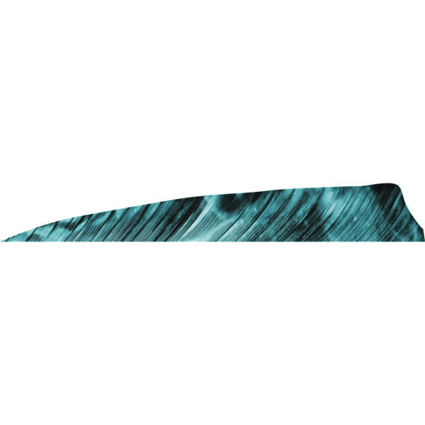 1407096_1 Gateway Shield Cut Feathers Tre Blue 4 in. RW 50 pk.