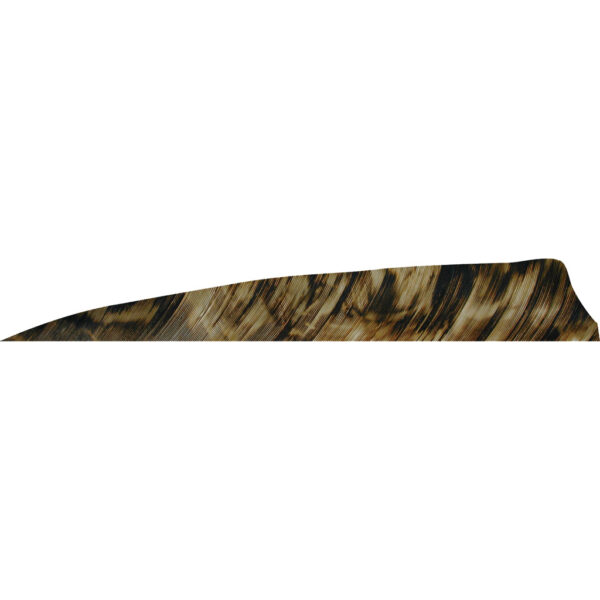 1407097_1 Gateway Shield Cut Feathers Tre Brown 4 in. RW 50 pk.