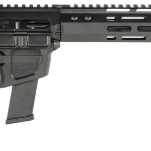 Wilson Combat TRAR9GB91610 AR9G Carbine 9mm Luger 17+1 16″ Black Match Grade Threaded Barrel, Black Armor-Tuff Aluminum Receiver, M-LOK Handguard, Black Synthetic Rogers Super-Stoc w/Cam-Lock Stock