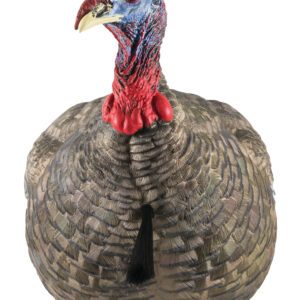 Avian X LCD Quarter-Strut Jake Turkey Decoy