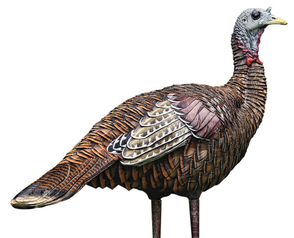145392 Avian X LCD Lookout Hen Turkey Decoy