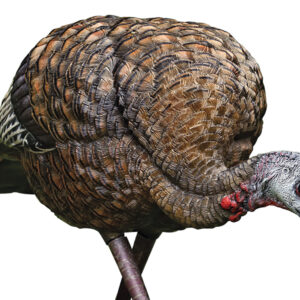 Avian X LCD Feeder Hen Turkey Decoy – Dura-Rubber