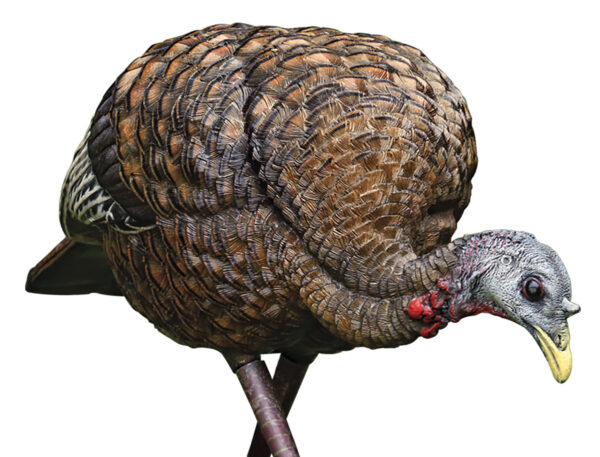 145393 Avian X LCD Feeder Hen Turkey Decoy – Dura-Rubber