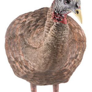 Avian X LCD Breeder Hen Turkey Decoy