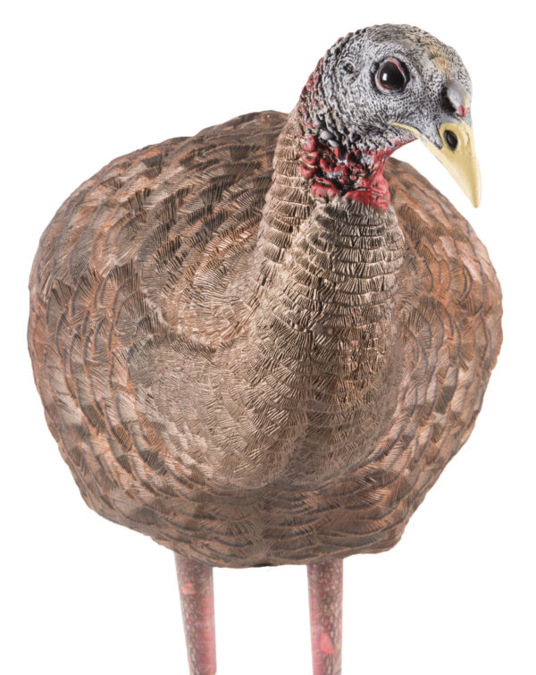 Avian X LCD Breeder Hen Turkey Decoy