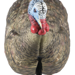 Avian X LCD Half-Strut Jake Turkey Decoy
