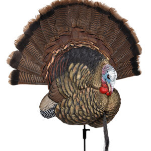 Avian X Trophy Tom Turkey Decoy – Lifesize