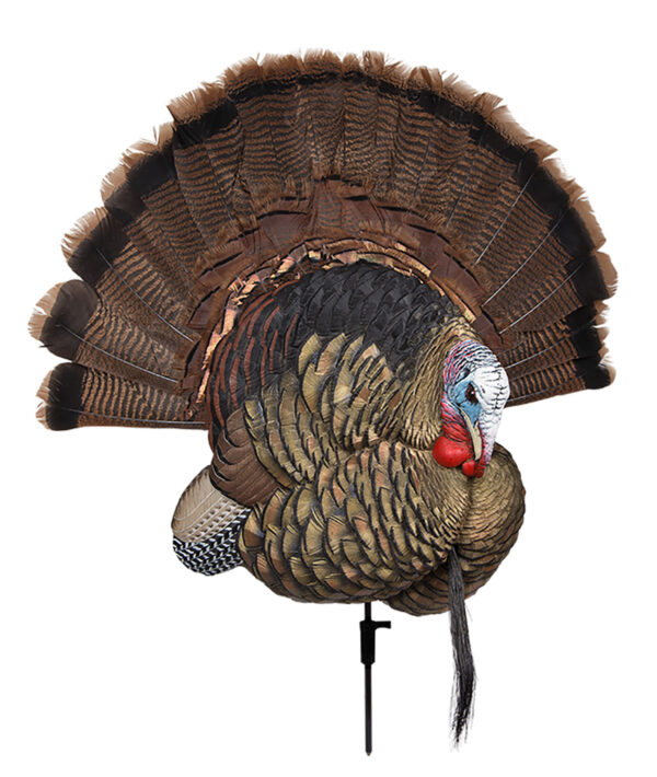 145397 Avian X Trophy Tom Turkey Decoy – Lifesize