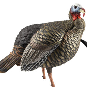 Avian X HDR Jake Turkey Decoy — Lifesize Quarter-Strut