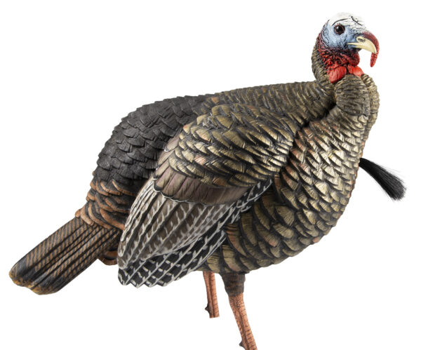 145398 Avian X HDR Jake Turkey Decoy — Lifesize Quarter-Strut