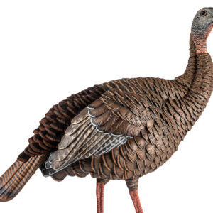 Avian X HDR Hen Decoy — Lifesize Multi-Color