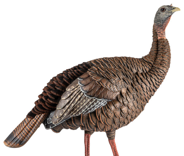 145399 Avian X HDR Hen Decoy — Lifesize Multi-Color