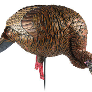 Avian X HDR Feeding Hen Turkey Decoy, Lifesize